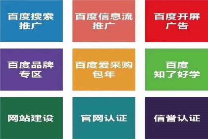 成功SEM推广代运营案例分享